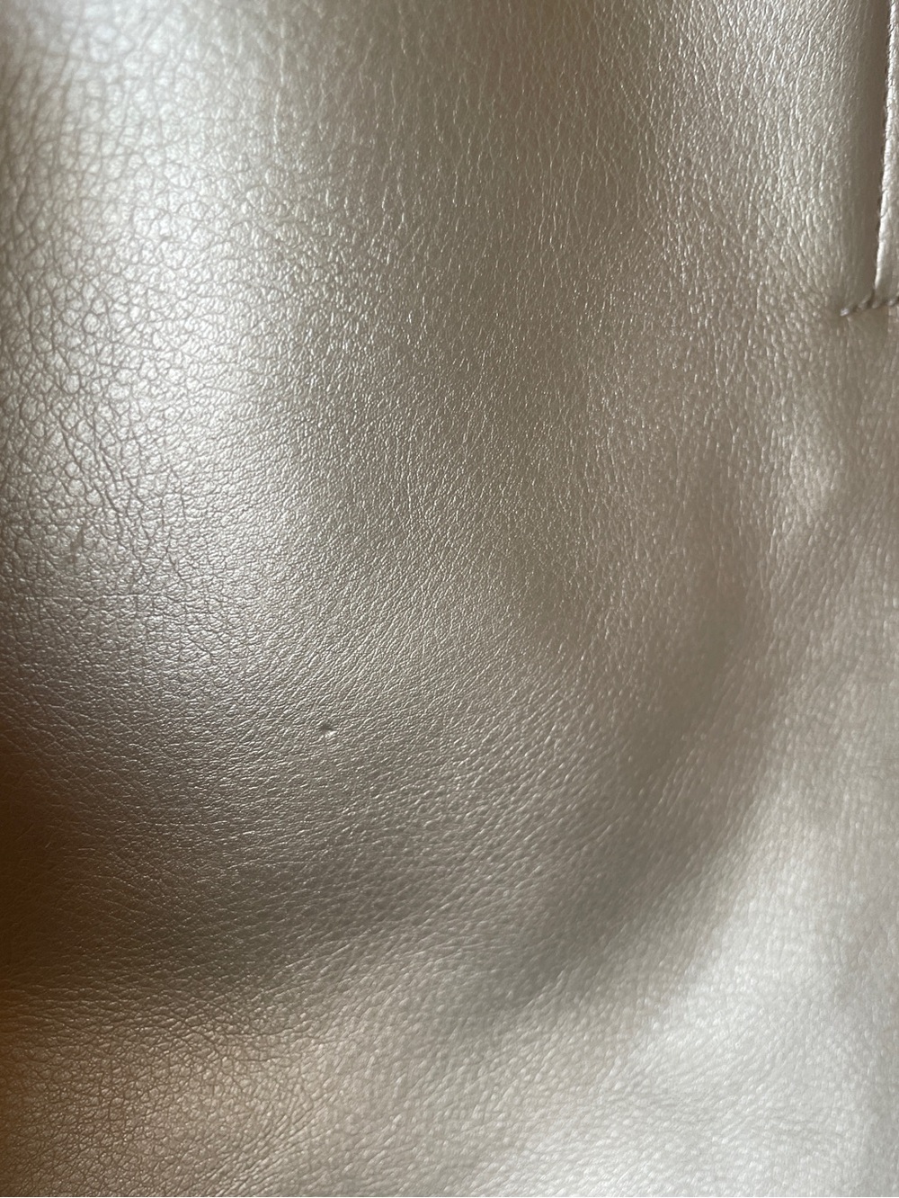 Gold Metallic Leather Tote Bag - Picture 11 of 11